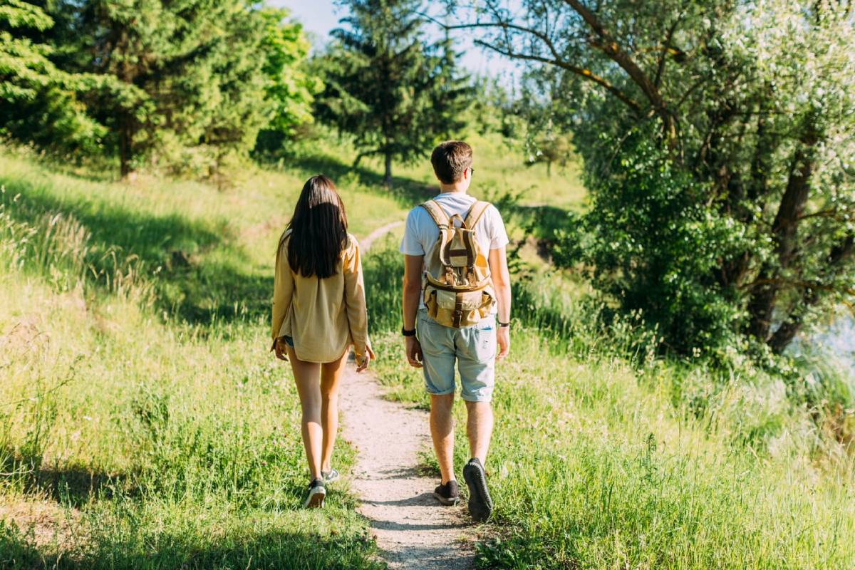  A couple strolls hand in hand along a wooded path, surrounded by tall trees and dappled sunlight. 